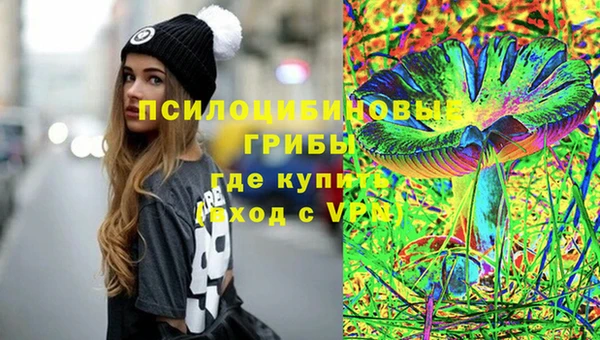 хмурый Лагань