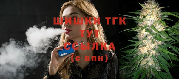 хмурый Лагань