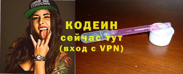 хмурый Лагань