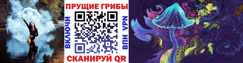 кракен tor  Камышин  Псилоцибиновые грибы Cubensis 
